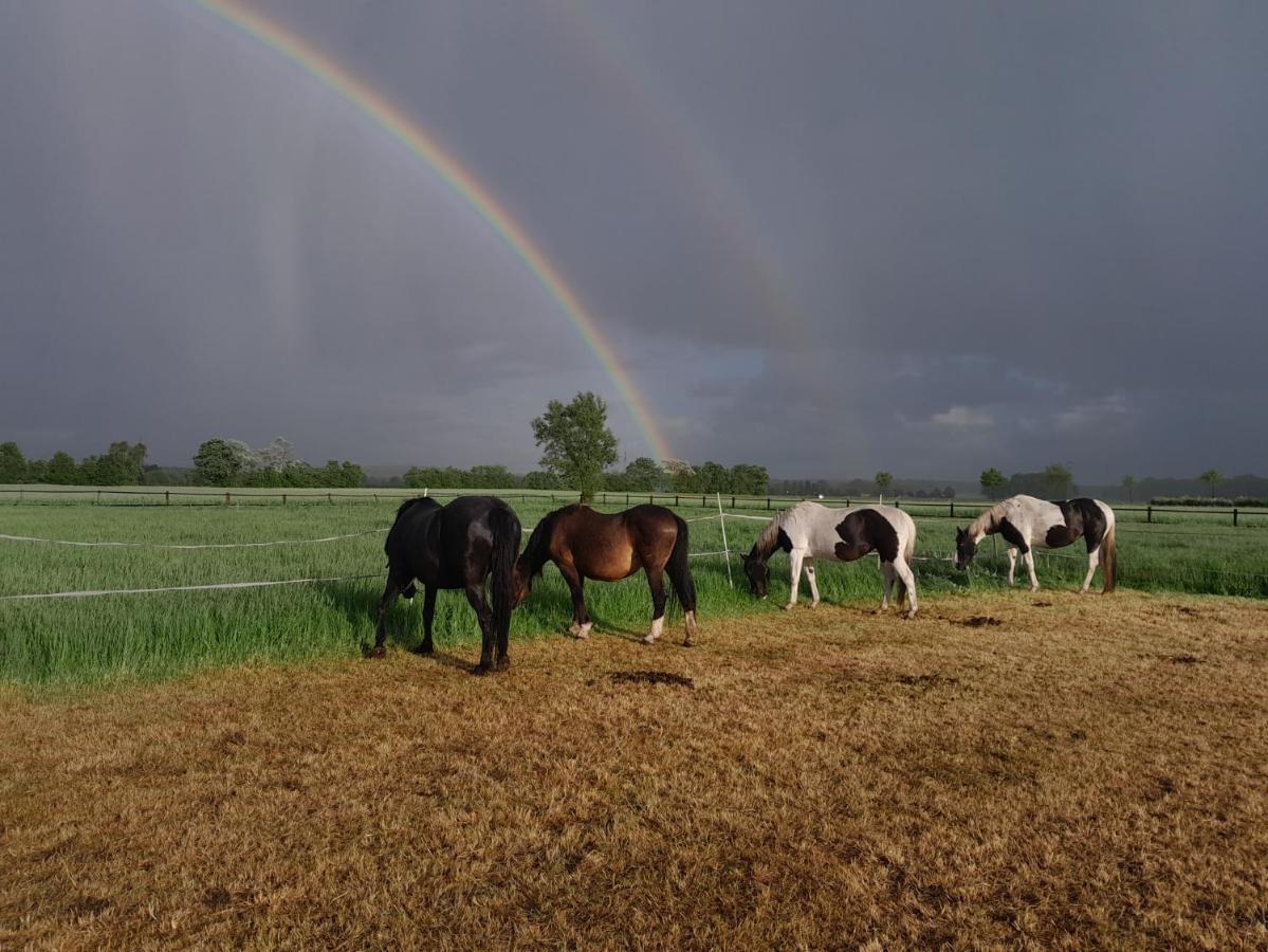 Ferienhof Wikner Bruchhausen-Vilsen Bagian luar foto